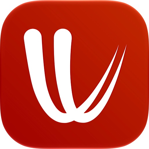 Windy.com