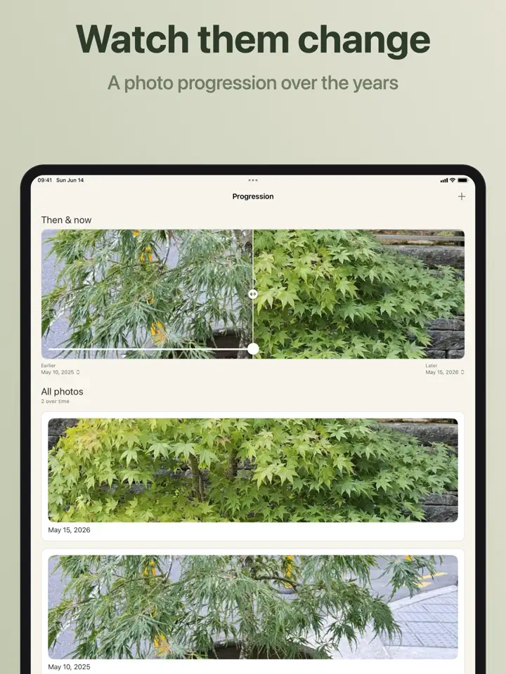 Bonsaiku on iPad: screenshot 6 of 7