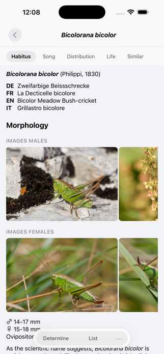 Orthoptera Screenshot 2 of 9