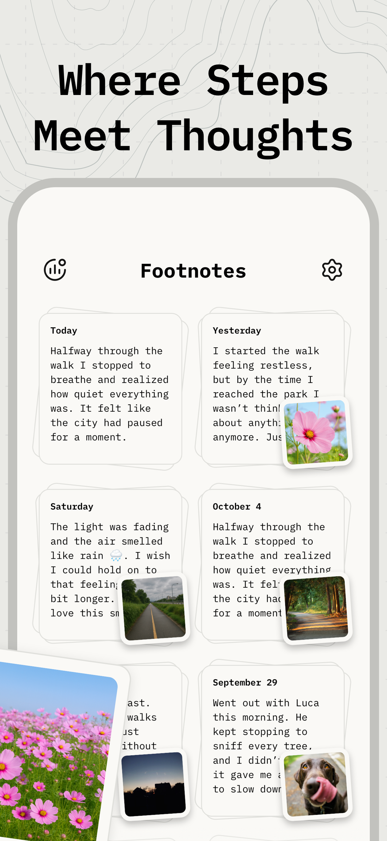 Walking Journal: Footnotes