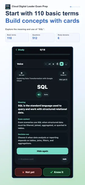 Cloud Digital Leader Practice screenshot 2