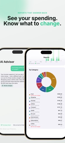 Snapwise - AI Money Tracker Screenshot 3 of 6