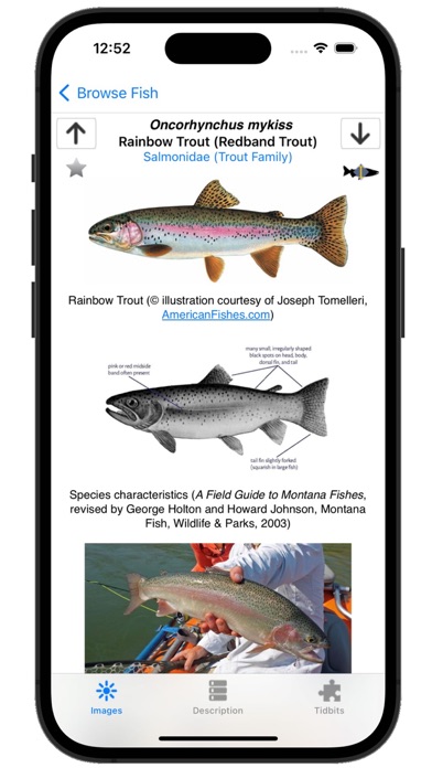 Fishes of Montana Screenshot