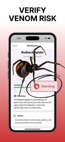 Picture Bug: Identifier Insect Screenshot 3 of 5