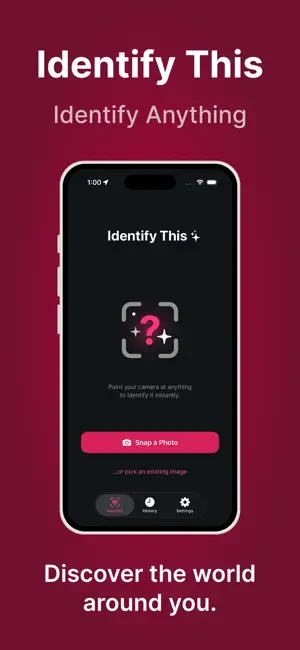 Identify This: AI Identifier screenshot 1