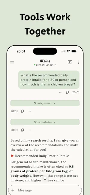 Reins: for Ollama & LM Studio screenshot 4