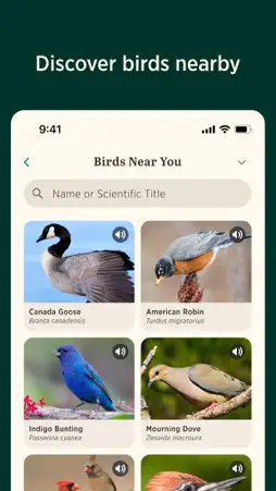 Audubon Bird Guide screenshot 4