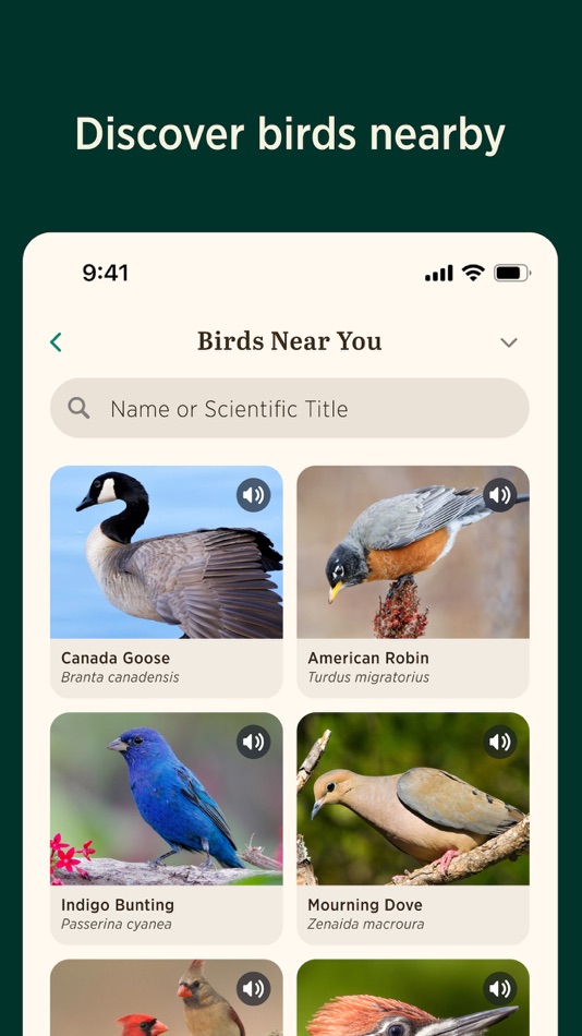 #4. Audubon Bird Guide (iOS) Podle: National Audubon Society