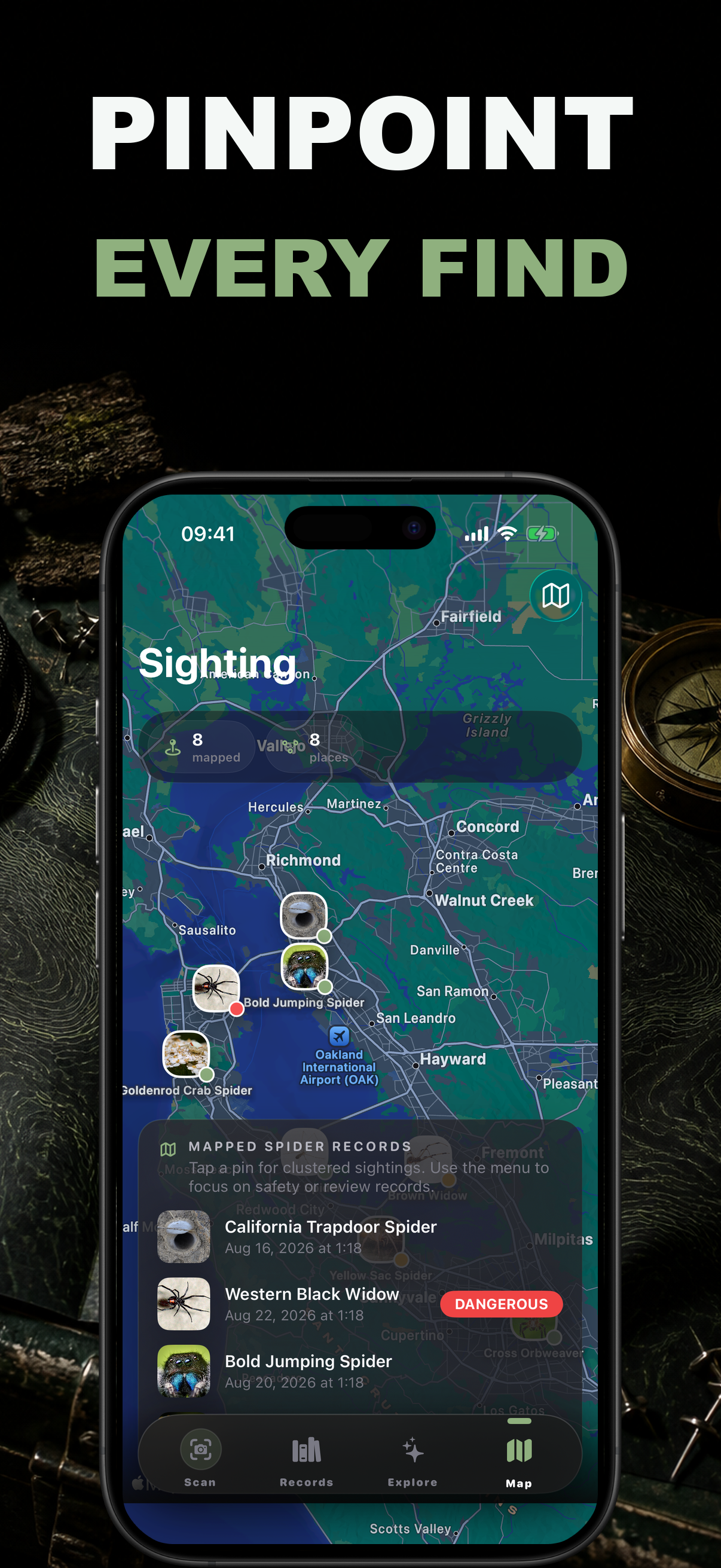 Spidr AI: Spider Identifier screenshot 4
