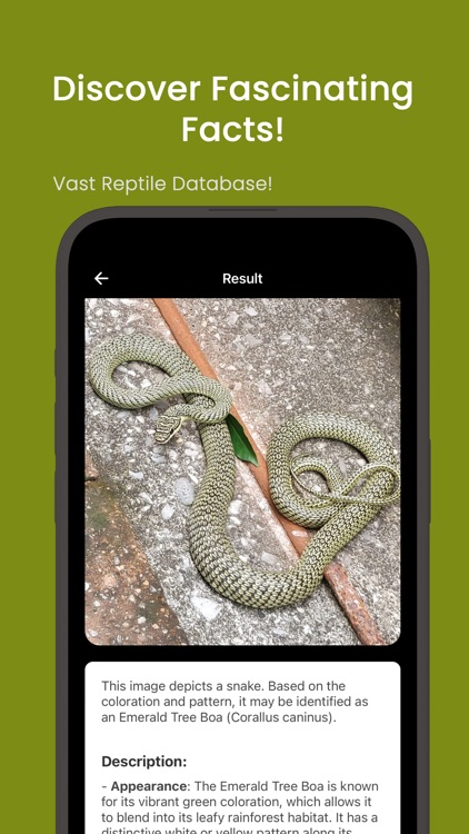 Snake ID - reptile identifier screenshot-3