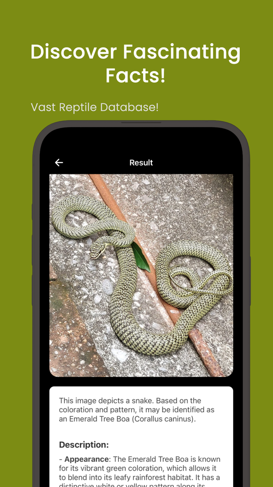 #4. Snake ID - reptile identifier (iOS) 来自: Pibardos LLC