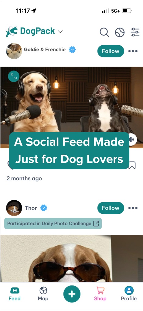 DogPack: Dog Friendly Spots - O aplicativo apresenta um feed social vibrante, onde os proprietários podem compartilhar momentos de seus cães e acompanhar a participação em desafios fotográficos diários.