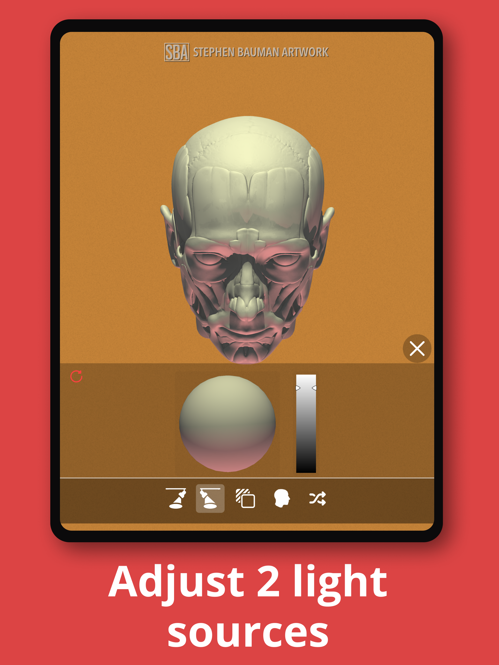 Head Study