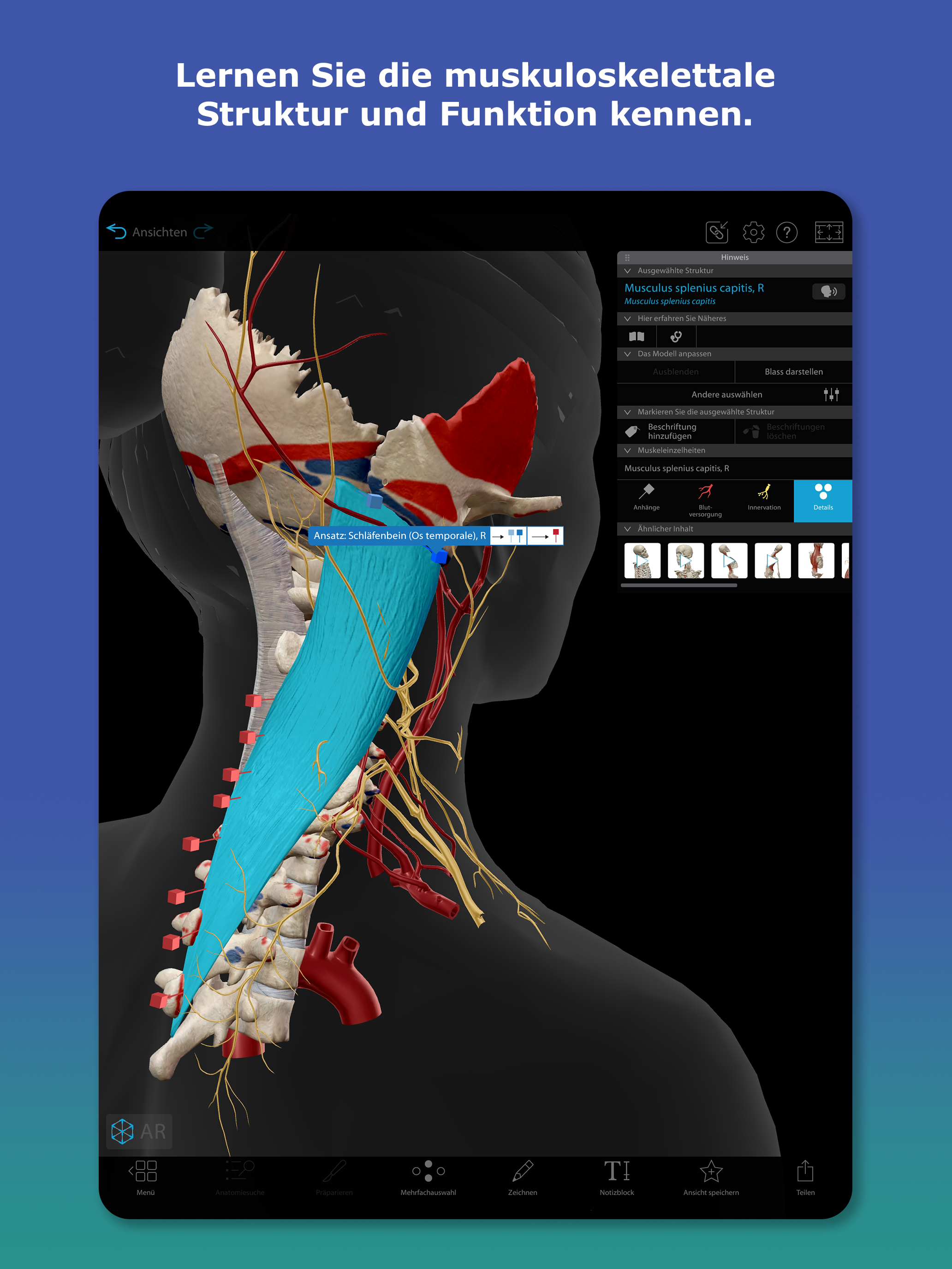 Atlas der Humananatomie 2026