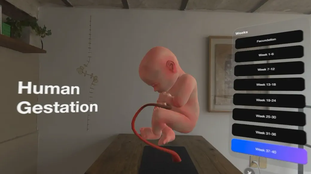 Inviewer screenshot 4