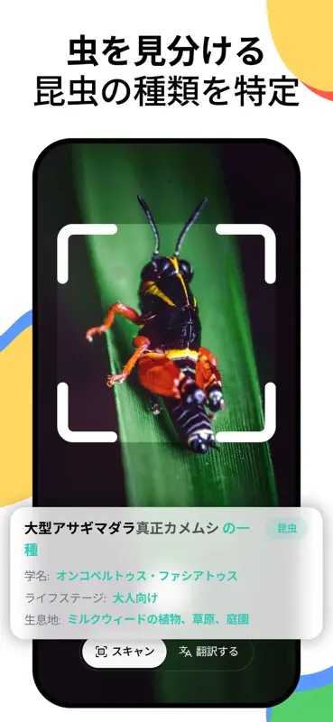 Lens AI & 逆画像検索 screenshot 5 of 7
