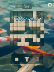 Zendoku - Blokkpuslespill ipad bilder 3