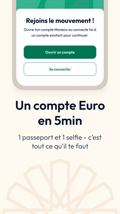 Moneco Screenshot