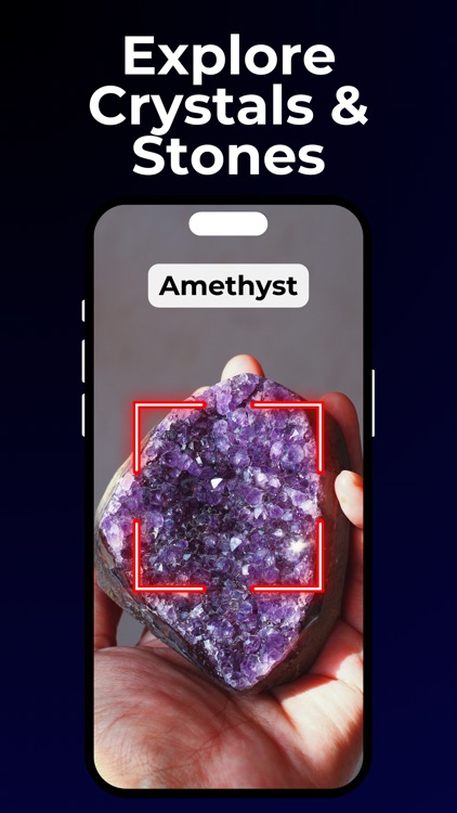 Lens: Image Search & Identify screenshot-6