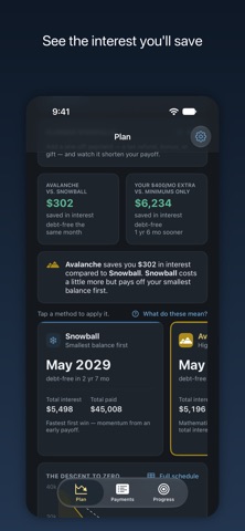 Debt Descent: Payoff Planner iPhone screenshot