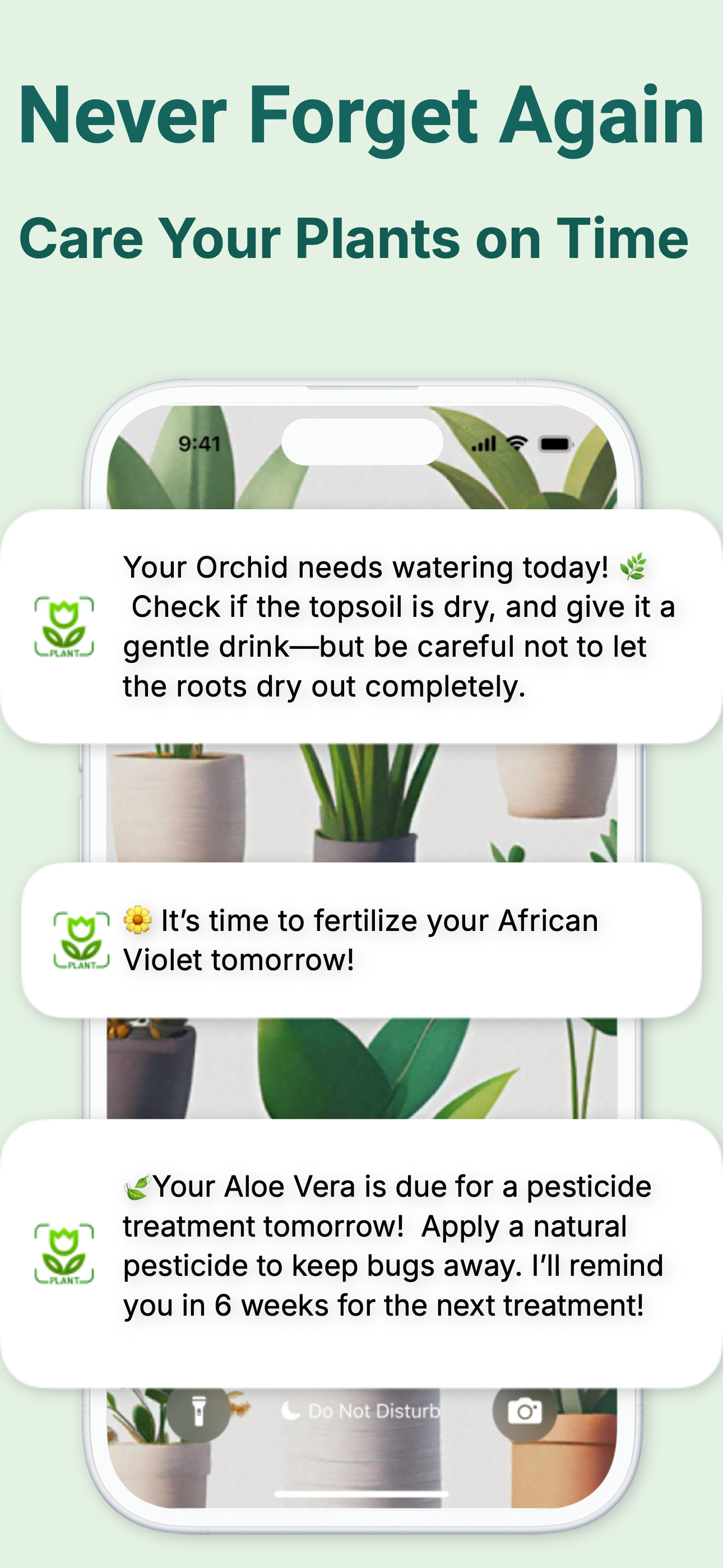Plant Identifier:Picture Plant screenshot 4
