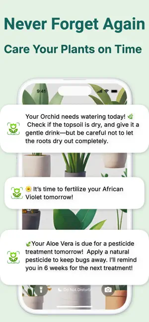 Plant Identifier:Picture Plant screenshot 4