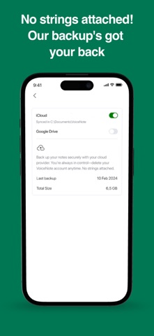 Voxiyo screenshot
