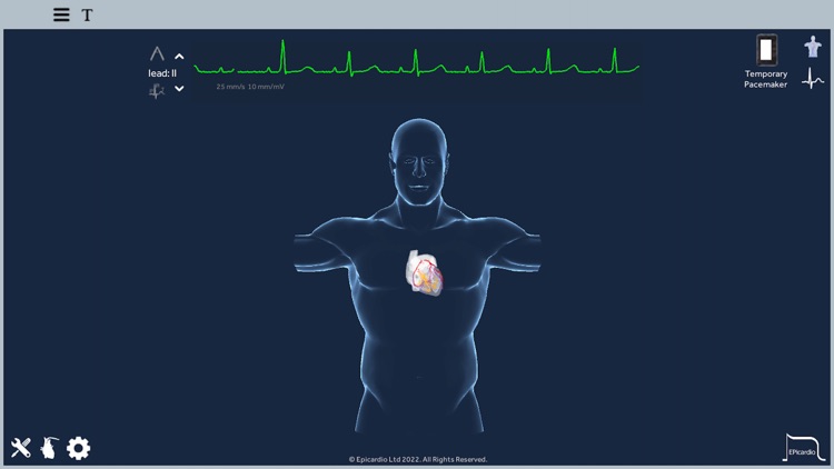 Epicardio Heart Simulator