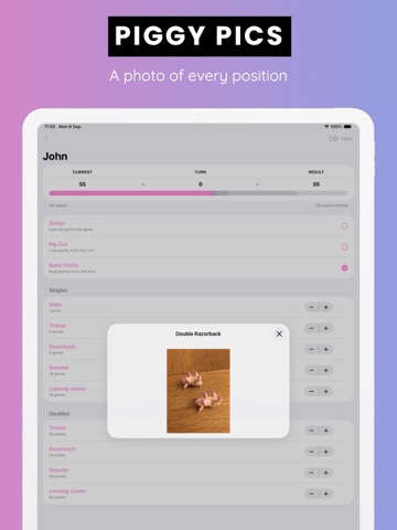 Count The Pigs iPad screenshot
