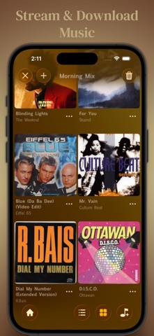 Musinova Offline Music Player iPhone screenshot 3