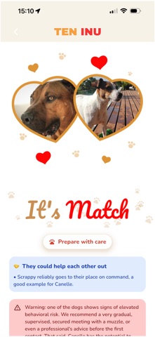 TEN INU Screenshot 3 of 6