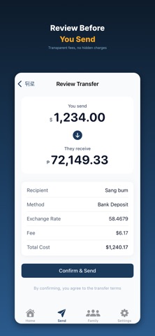 RemitBridge - Transfer Tracker screenshot