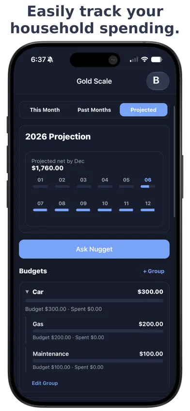 Gold Scale: Family Budget screenshot 5
