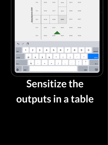 CFO in Your Pocket iPad screenshot