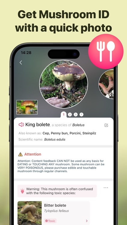 Picture Mushroom: Identifier