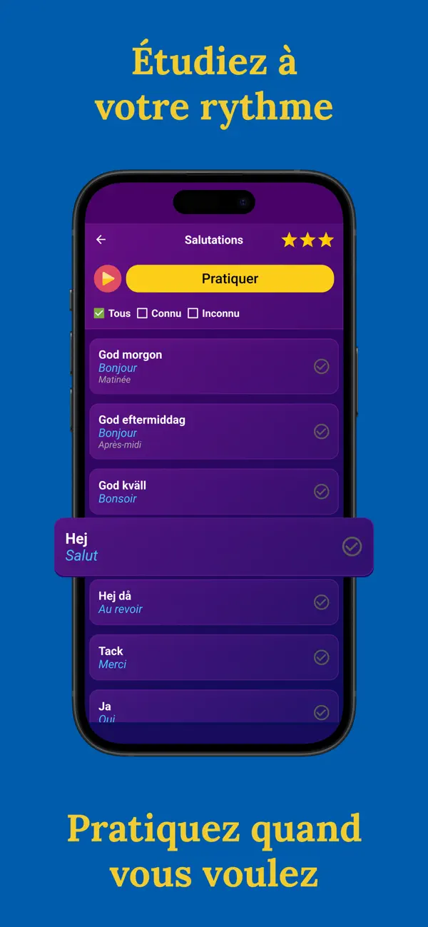 Screenshot #3 pour BNR: Apprendre le suédois