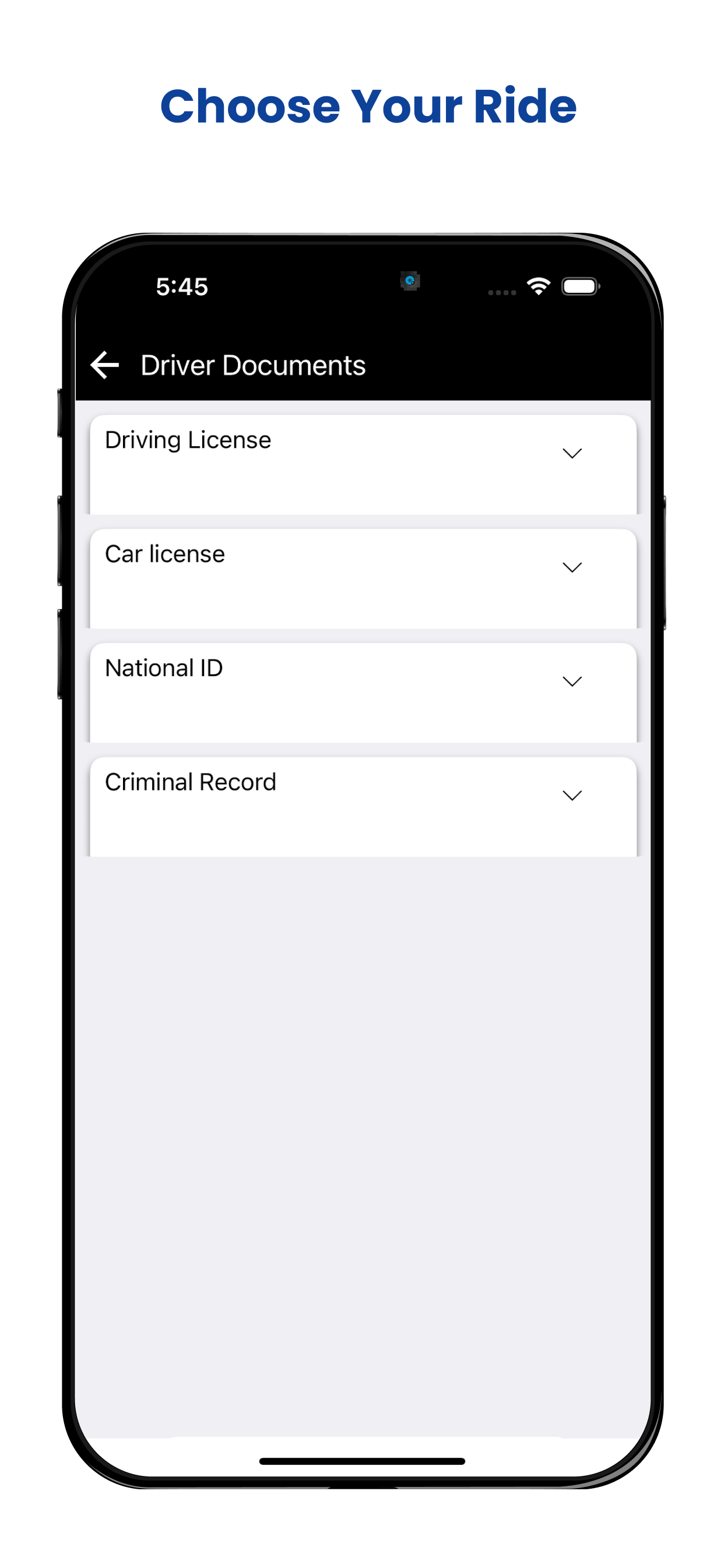 Eagles Driver screenshot 4