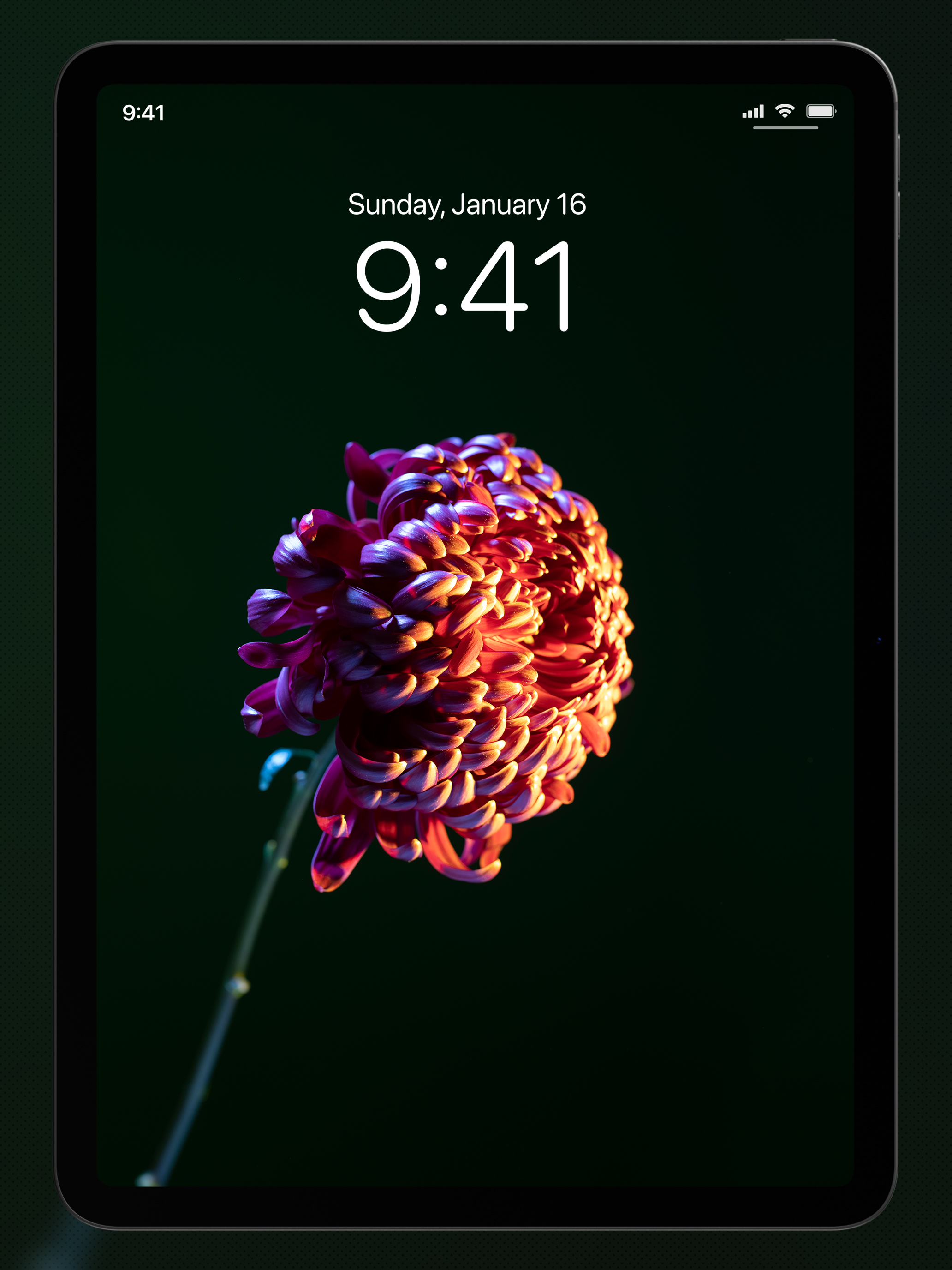 Amoled Wallpapers 4K - HD screenshot 9