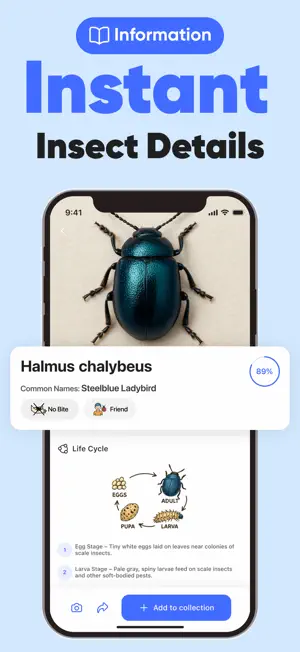 Insect Identifier: InsectGPT screenshot 4