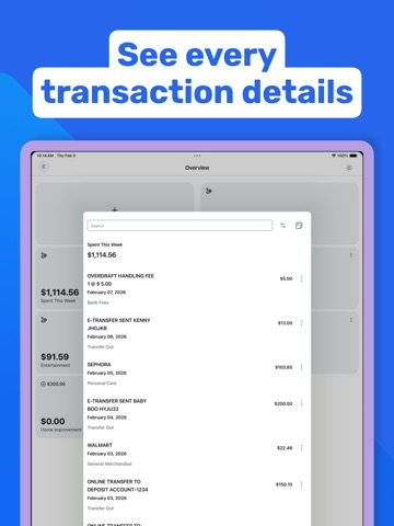 Cagni: Money Manager & Expense iPad screenshot