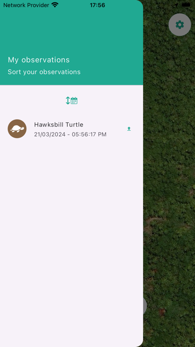We Spot Turtles! Screenshot