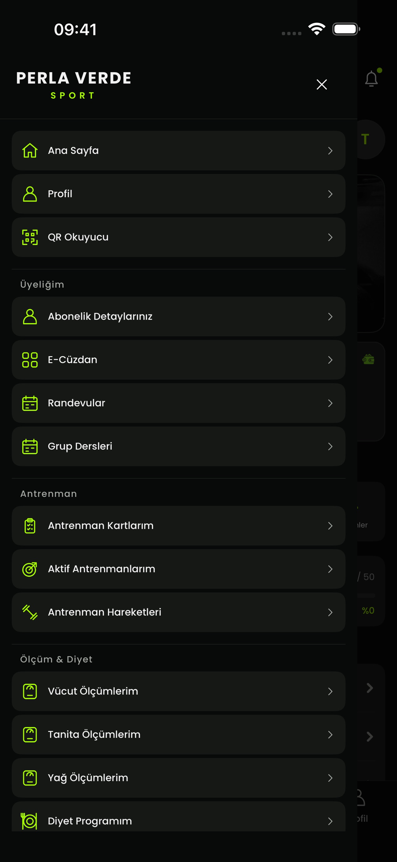 Screenshot 2 of Perla Verde