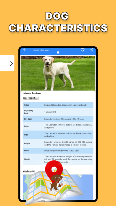 Dog Identification-DogScanner Screenshot