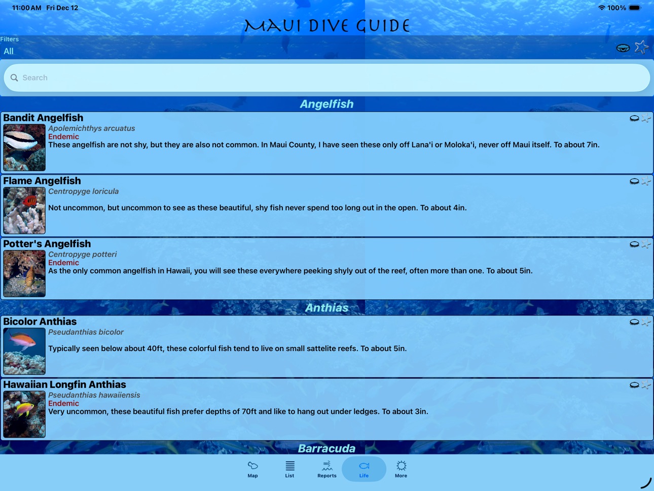 iPad screenshot