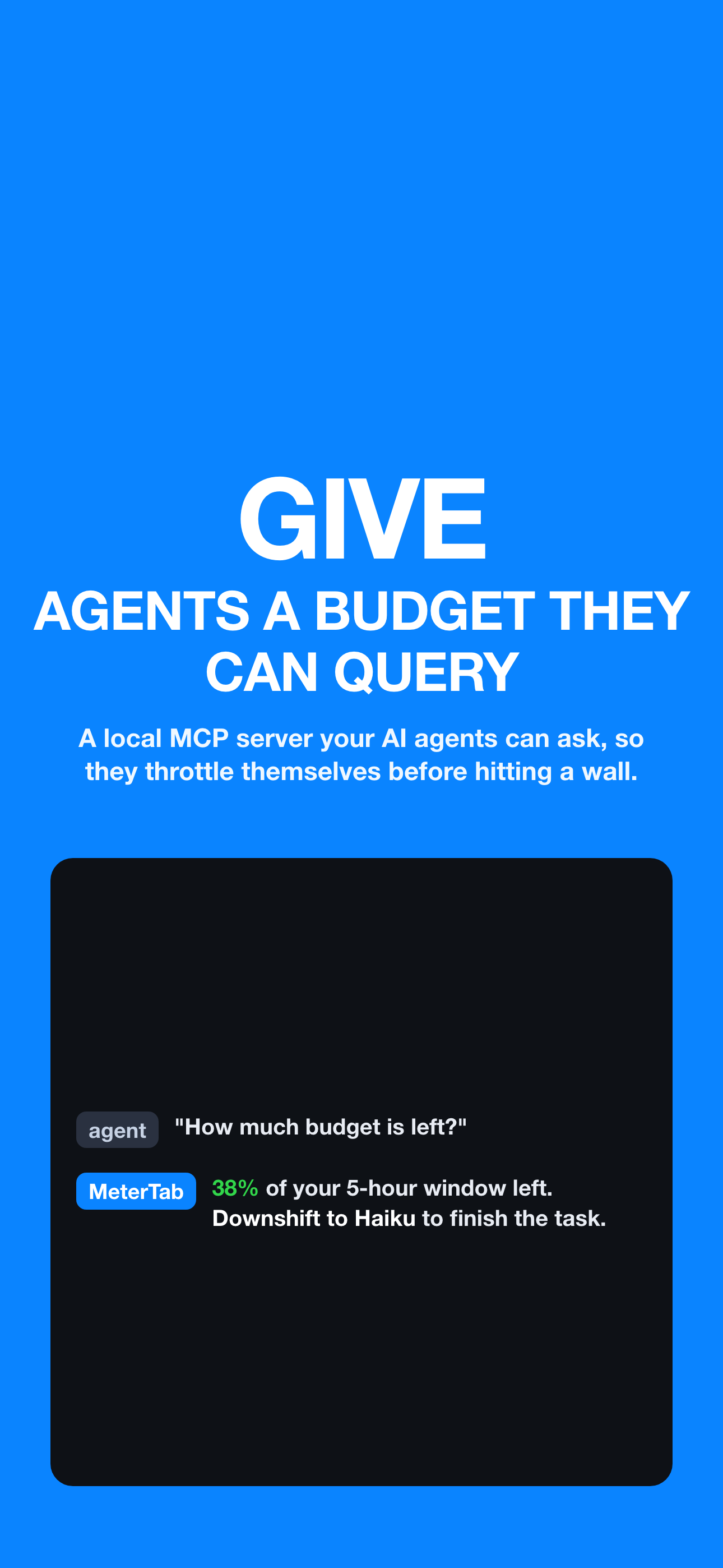 MeterTab: AI Usage screenshot 4