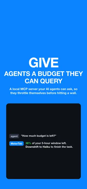 MeterTab: AI Usage screenshot 4