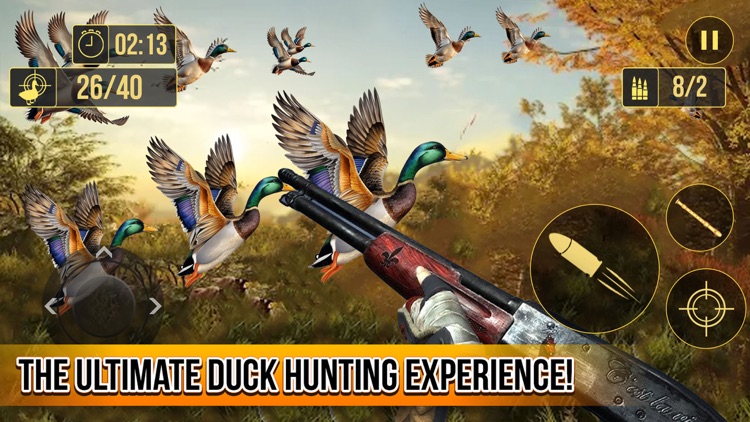 Duck Hunting Wild Simulator