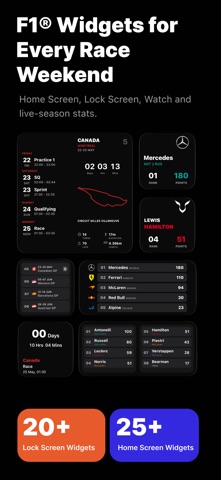 Formula Widgets F1: Lights Out screenshot