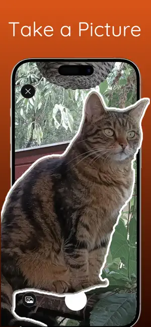 CatStamp: Cat Collector Game screenshot 2