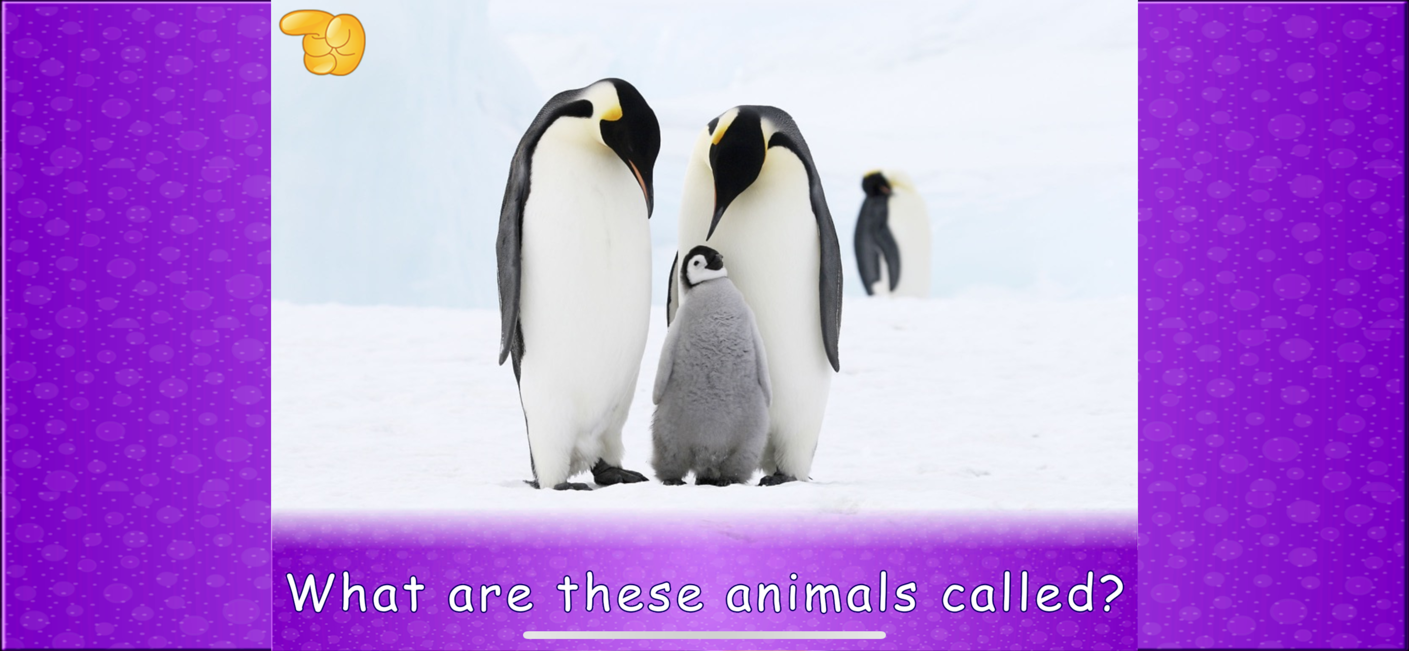 Animal picture games for kids! screenshot 7